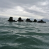 Force Recon Course 2015_092